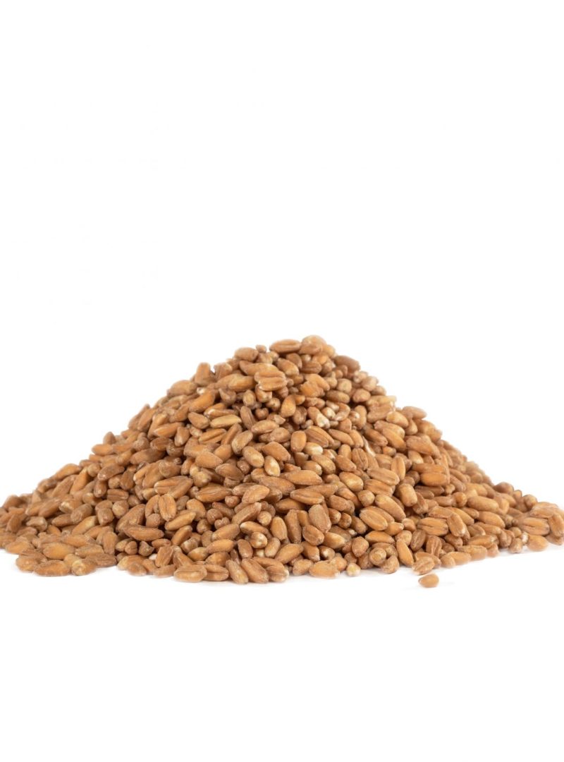 bobs red mill farro bobs red mill 469418