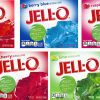 Gelatin Variety Pack Snackathon 5 Essentials 30 Fl Oz (Pack of 1)