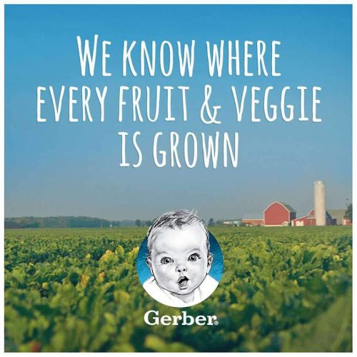 gerber 1st foods gerber 326863