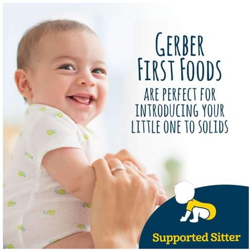 gerber 1st foods gerber 513233