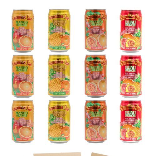 Hawaiian Sun Drinks Snackathon Orange Variety 11.5 Fl Oz (Pack of 12)